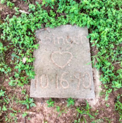 pet gravestone in backyard