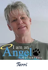 Terr - Angel Volunteer