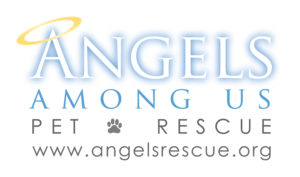 angels among us pet rescue