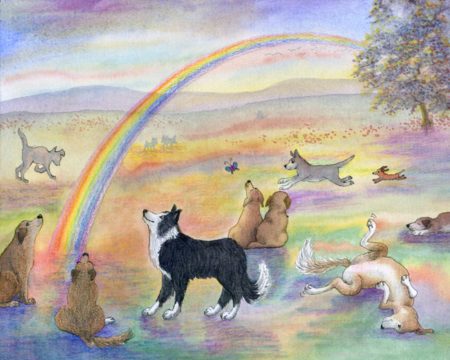 Beyond the Rainbow Bridge