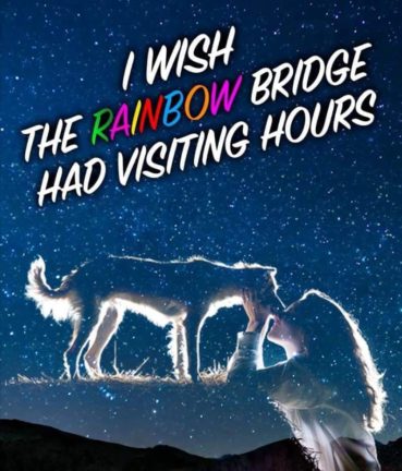 Rainbow Bridge Vising Hours